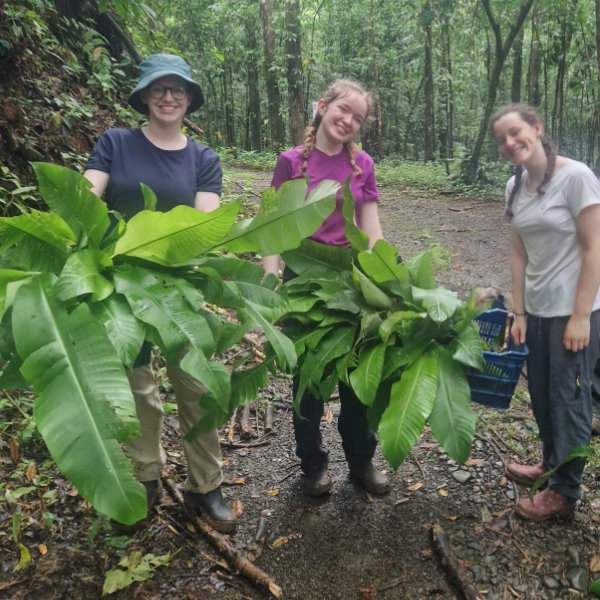 Collecting plants for animal feed and bedding Collecting plants for animal feed and bedding